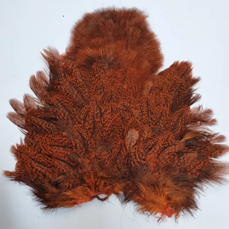 Whiting Coq de Leon Hen Soft Hackle with Chickabou in Speckled Orange-4